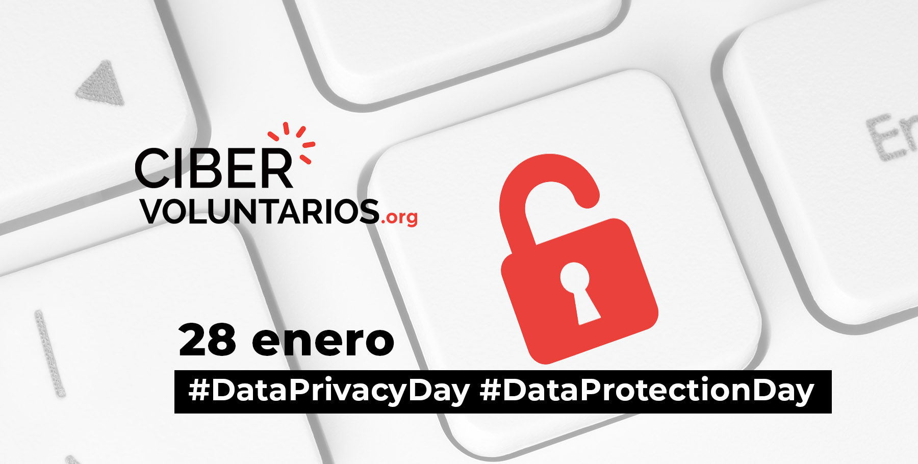 Alianzas globales de Cibervoluntarios.org por el Día de la Protección de Datos